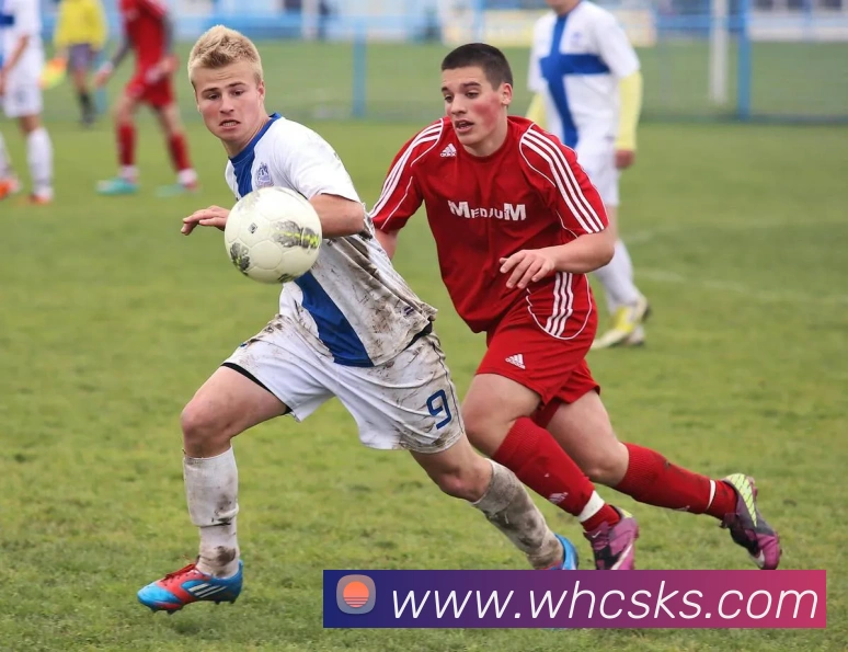 App Interface Preview